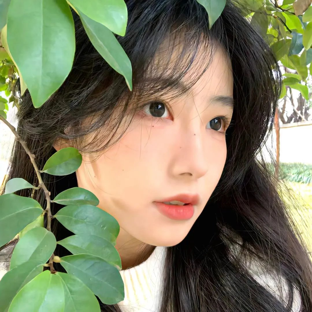 亲爱的柠檬精先生2
